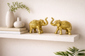 PeetalKraft Brass Elephant Pair Showpiece Set for Luck and Home Decor, Size 7x2x5 cm, Weight 426 Grams